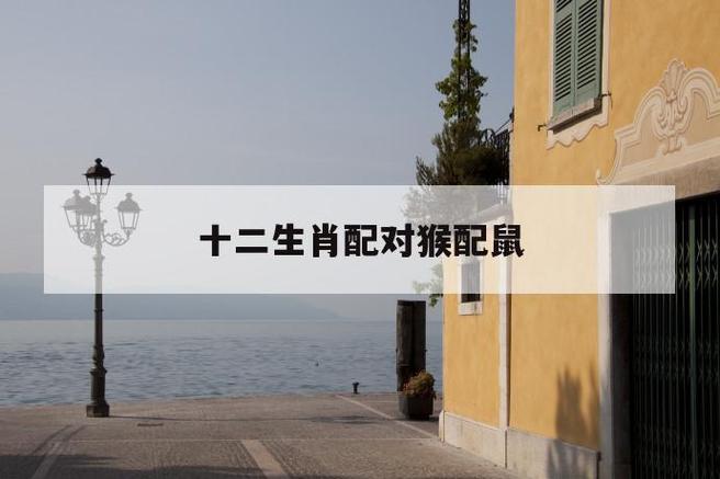 属猴的和属鼠的婚姻怎么样?属猴的和属鼠配不配?