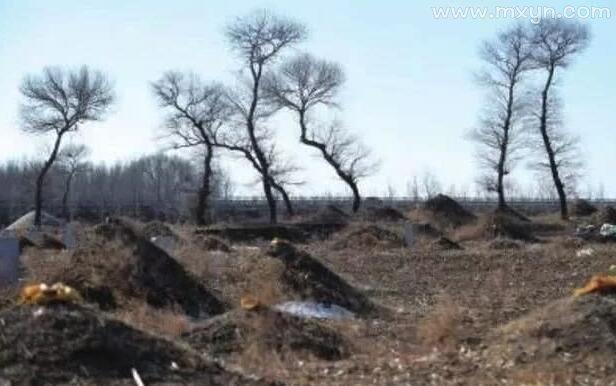 女人梦见路过土坟堆