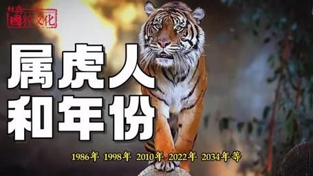 属虎的人是什么样的人