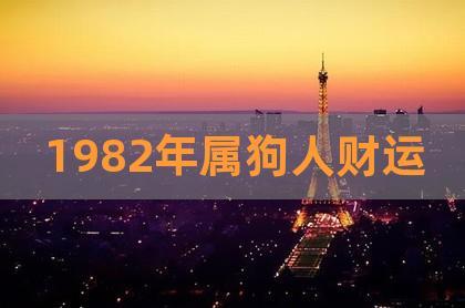 1982年男财运运程