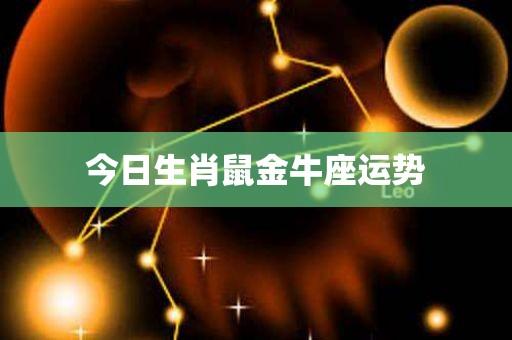 属鼠人2021年牛年下半年运势