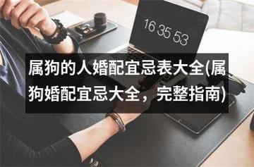 属狗的配对宜忌,婚姻美满也需多经营