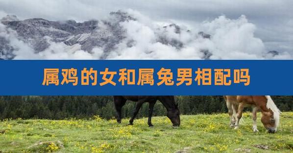 男鸡女兔在一起好不好?属鸡的配什么属相好?