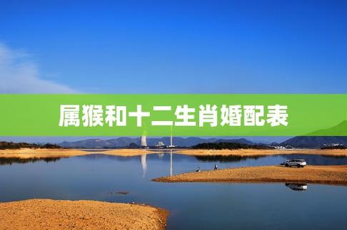 属猴的男人和什么属相最配,属猴的男人和什么属相最配