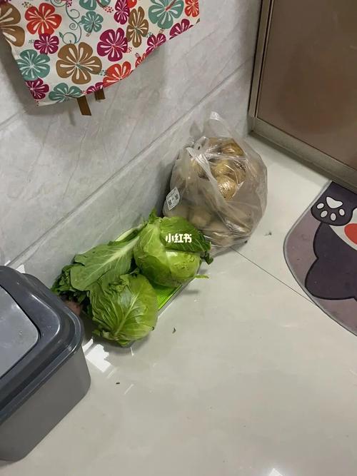 梦见买菜丢了,注意合理安排工作