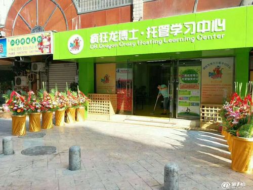 关于教育培训机构的名称名字