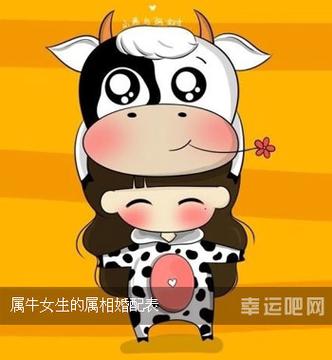 属牛的人喜欢什么样的女孩
