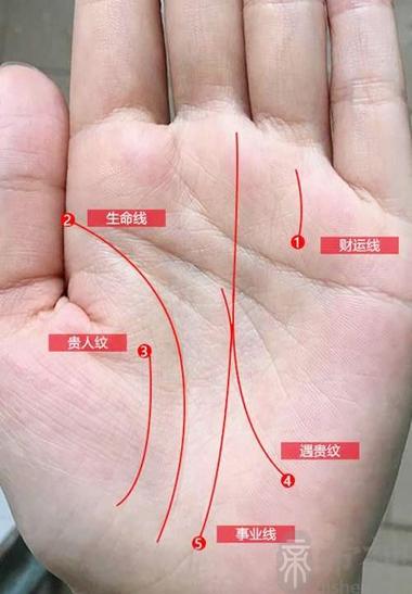 最富贵的3种手相运气旺