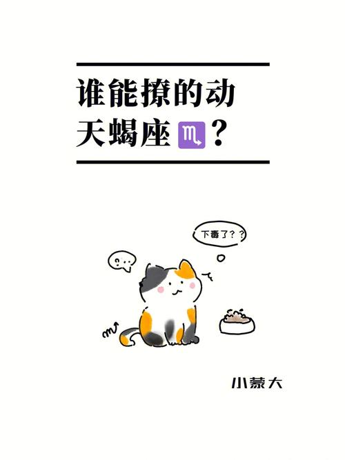 不喜欢天蝎座男生会撩吗