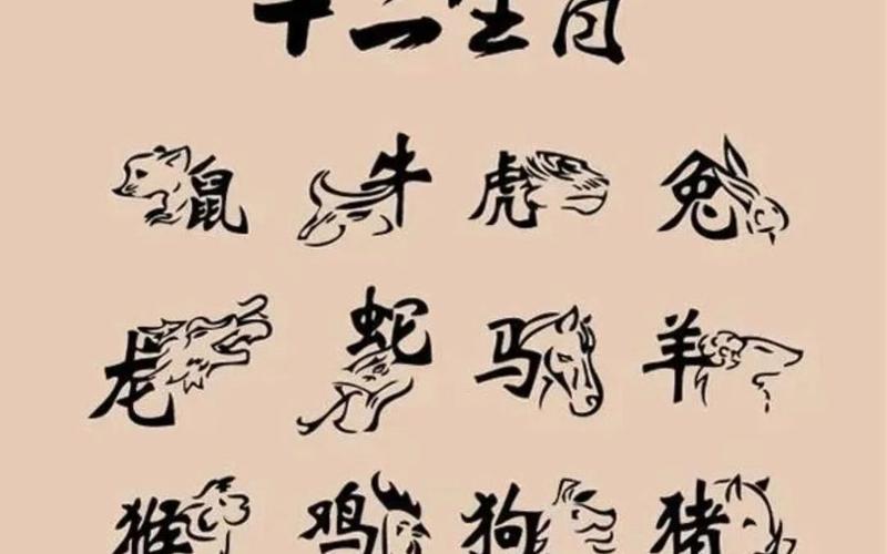 生肖兔的介绍