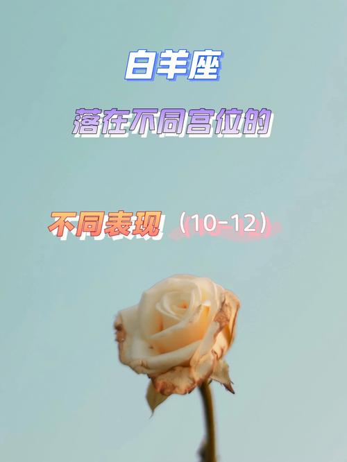 白羊座不想离婚的表现