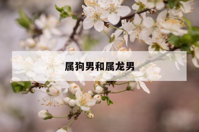 属龙人和属狗人在2021年可以结婚吗?适合几月结婚?