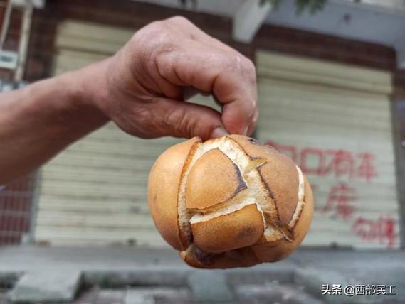 梦见把梨扔烂了