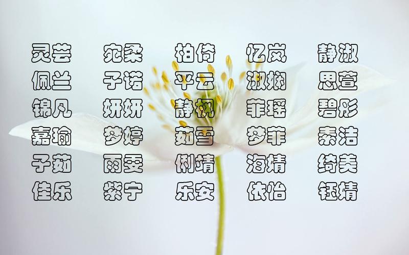 好写好听的名字叫什么