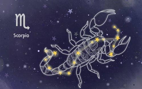 最虚伪狡猾的星座