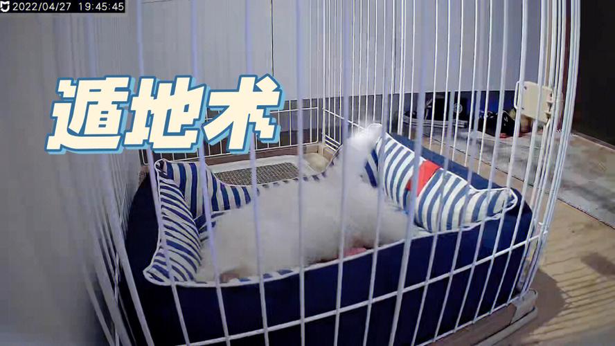梦见遁地周公解梦，梦见遁地是什么意思？