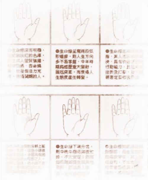 话说命运线分叉是怎么一回事