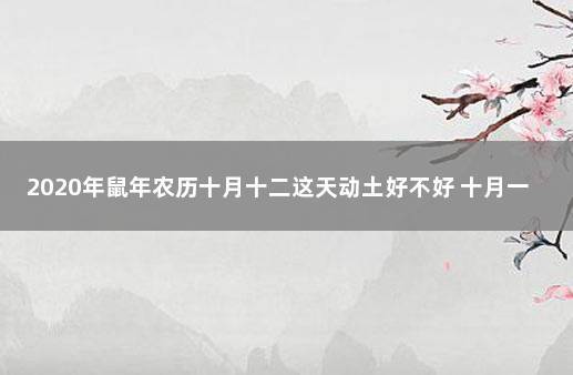 2020鼠年农历十二月十一日求嗣适合吗?