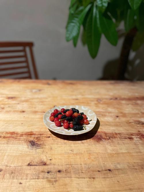 自给自足 属蛇便当风格是什么样的