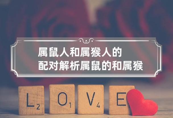 解析生肖鼠和生肖猴可以搭配
