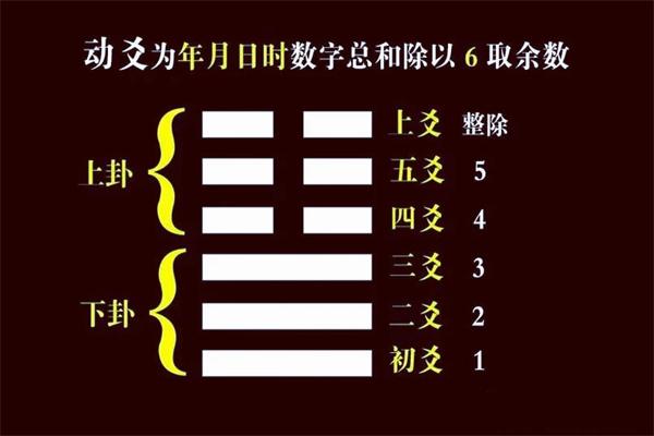 梅花易数中动爻怎么看