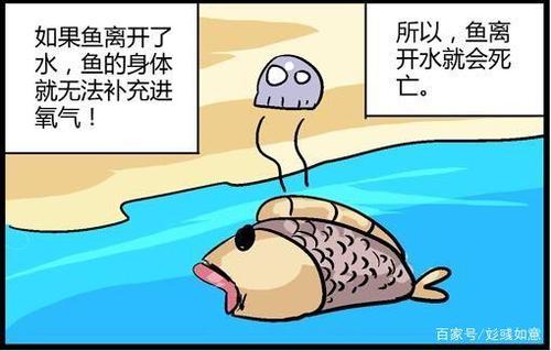 梦见鱼离开水是什么意思