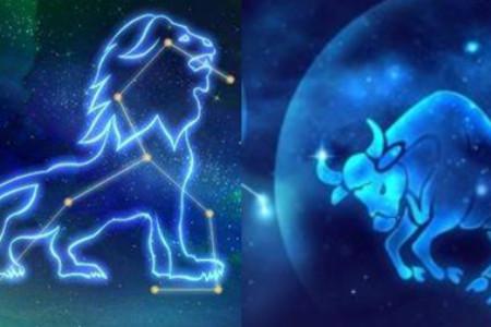 太阳狮子座与月亮金牛座组合
