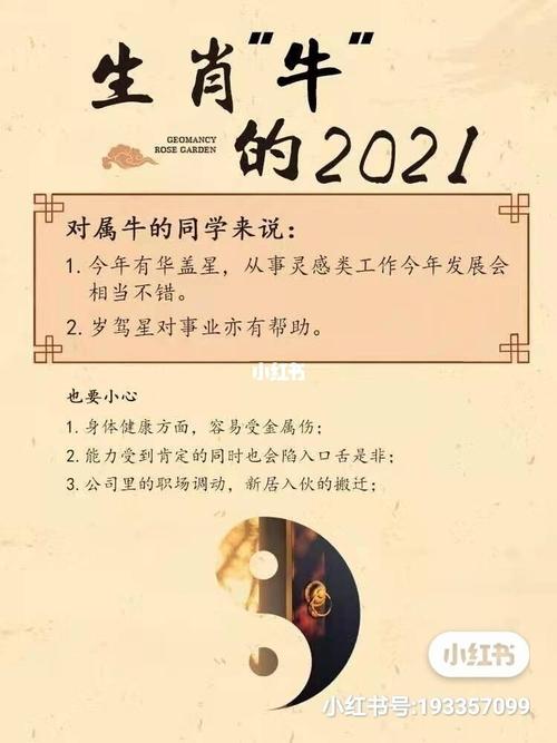 明年好运连连的生肖