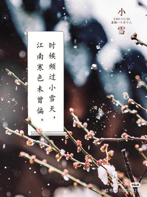 生肖龙节气小雪出生命运怎么样,是不是一生能富贵?