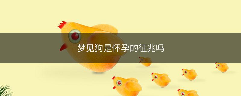 梦见怀孕的狗