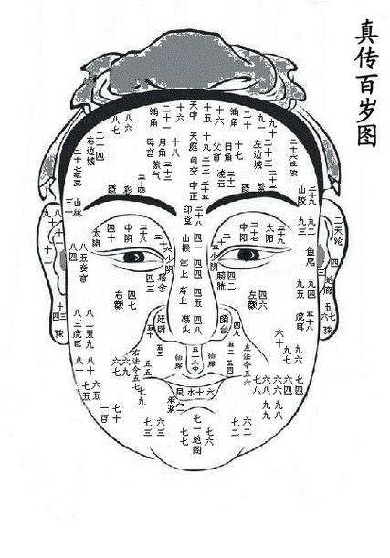 面相算命分析图解大放送