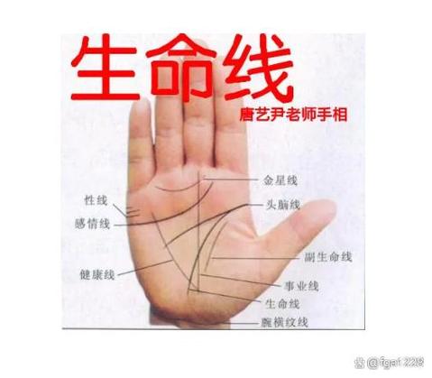生命线短寿命就短吗