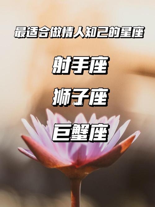 最适合当情人的星座