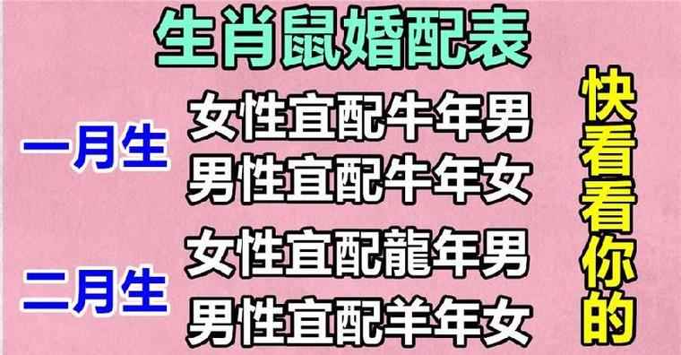 1996年属鼠女孩的婚配