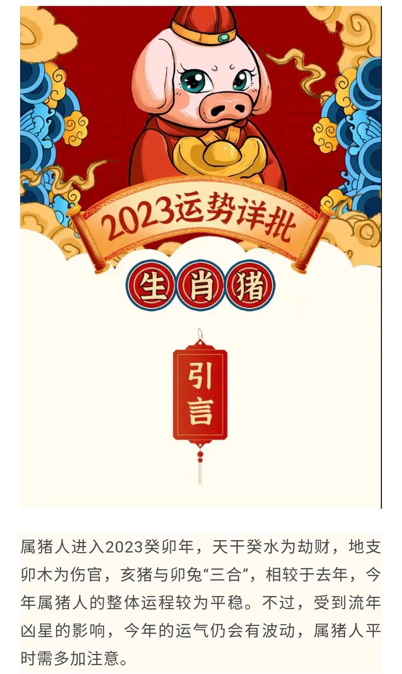 生肖猪的情运报告