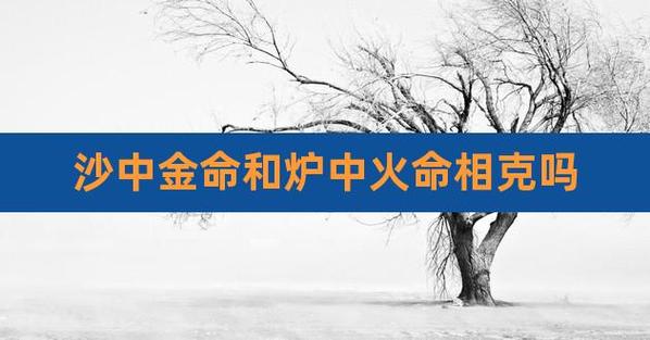 沙中金和炉中火合婚吗