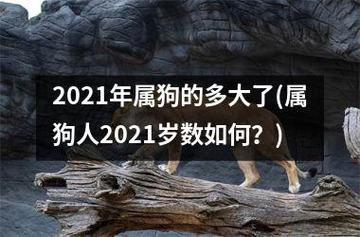 属狗2021多大
