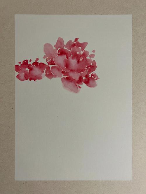梦见芙蓉花详解