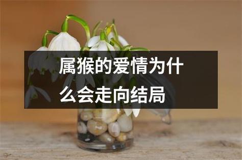 属猴人的爱情是讲究还是将就