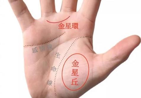 金星丘饱满什么意思
