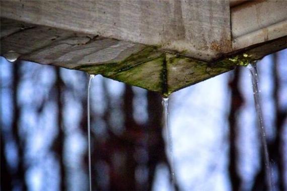 梦见下雨屋里很多水好不好?