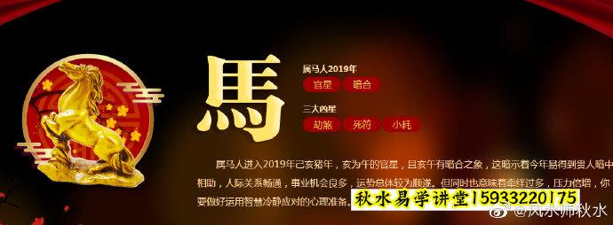 属马人的2019年运势怎么样