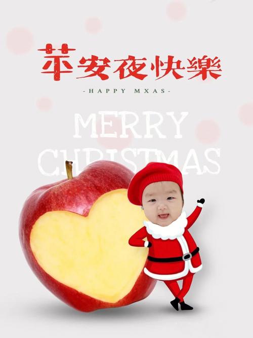 圣诞节出生的宝宝小名