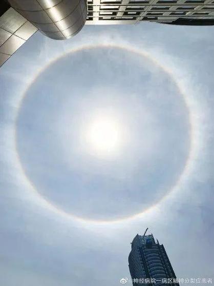 属龙人的什么行为让人觉得充满光环