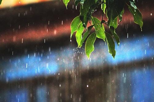梦见雨水成河