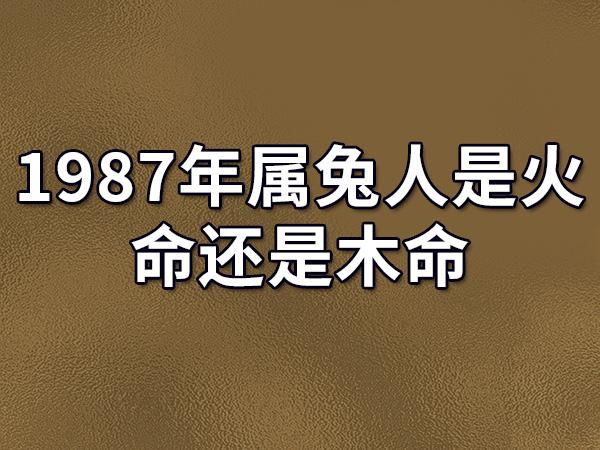 87年属兔的33岁需注意什么,小心人际关系
