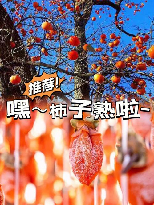 梦见摘苹果是什么意思
