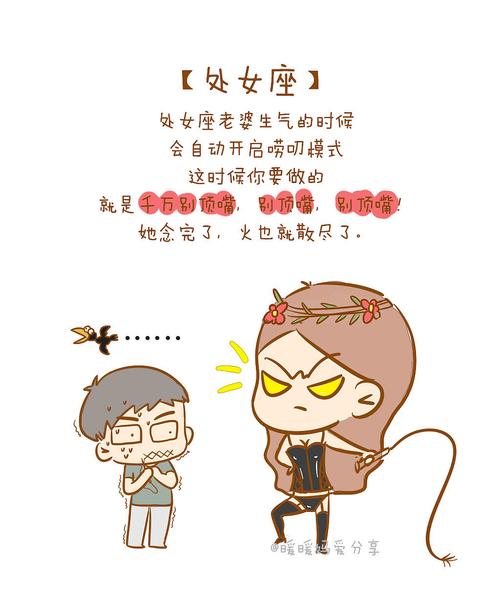 十二星座老婆