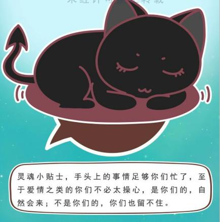 猫石对话12星座今日运势