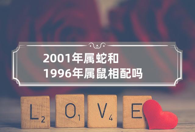 属蛇与属鼠八字合吗?属蛇与属鼠合作怎么样